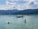 IMG_0523.png